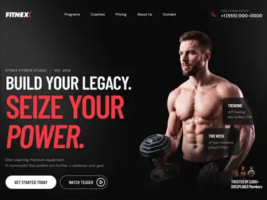 Fitnex Lite Gym