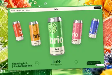 BrioProduct